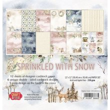 The presentation of new colection! - Sprinkled with snow