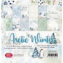 CPS-AW30 Paper set 12x12  ARCTIC WINTER