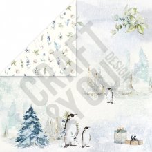 CP-AW02 Double-sided paper 30.5x30.5 ARCTIC WINTER 02 ( 10 pcs )