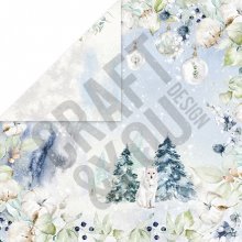 CP-AW03 Double-sided paper 30.5x30.5 ARCTIC WINTER 03 ( 10 pcs )