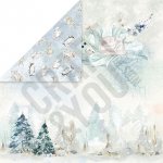 CP-AW05 Double-sided paper  30.5x30.5 ARCTIC WINTER 05 ( 10 pcs )